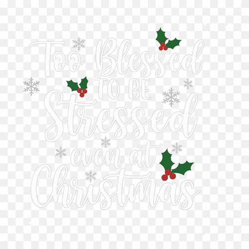 Christian faith digital download with Too blessed to be stressed